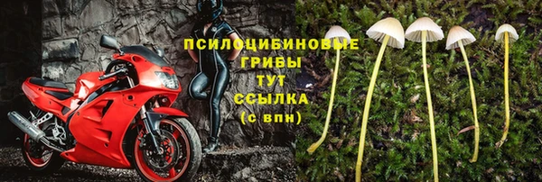 скорость Горнозаводск